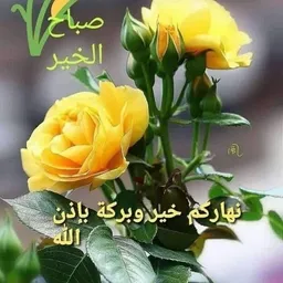 ABDELKADER FARRAM