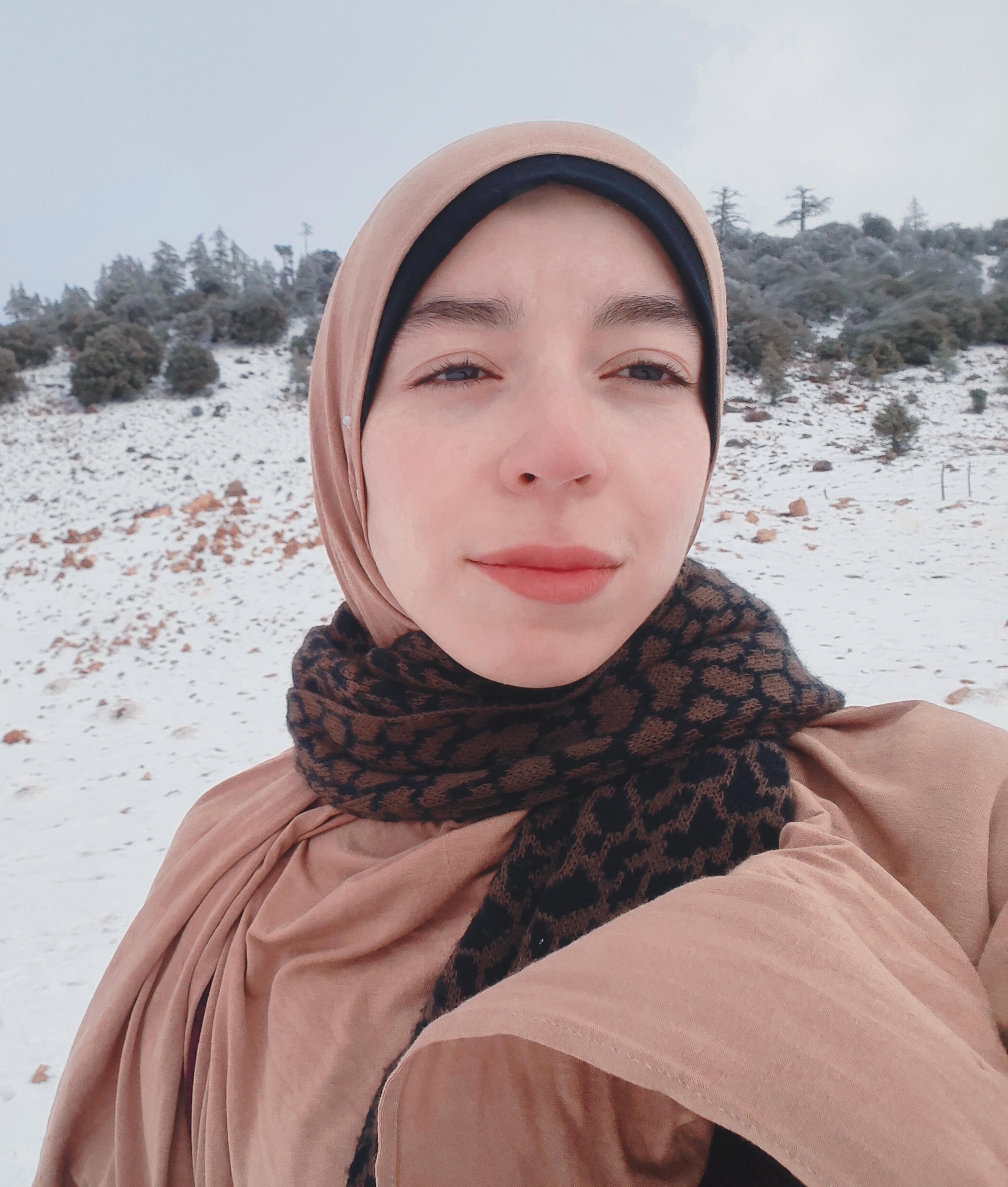 Nihad Abboud